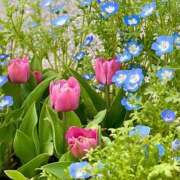 ヒメ日記 2025/04/25 09:03 投稿 みこと 奥様の実話 梅田店