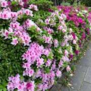 ヒメ日記 2025/04/26 10:02 投稿 みこと 奥様の実話 梅田店