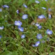 ヒメ日記 2025/04/27 08:59 投稿 みこと 奥様の実話 梅田店