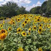 ヒメ日記 2025/04/28 08:57 投稿 みこと 奥様の実話 梅田店