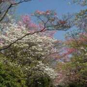 ヒメ日記 2025/04/29 10:10 投稿 みこと 奥様の実話 梅田店