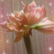 ヒメ日記 2025/04/30 09:55 投稿 みこと 奥様の実話 梅田店