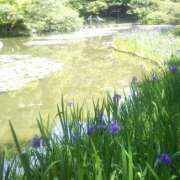 ヒメ日記 2025/05/03 10:25 投稿 みこと 奥様の実話 梅田店