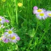 ヒメ日記 2025/05/05 09:49 投稿 みこと 奥様の実話 梅田店