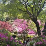 ヒメ日記 2025/05/06 08:54 投稿 みこと 奥様の実話 梅田店