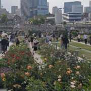 ヒメ日記 2025/05/07 08:51 投稿 みこと 奥様の実話 梅田店