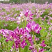 ヒメ日記 2025/05/09 09:32 投稿 みこと 奥様の実話 梅田店