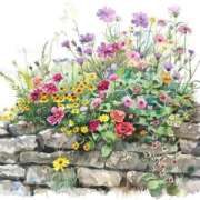 ヒメ日記 2025/05/10 09:03 投稿 みこと 奥様の実話 梅田店