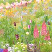 ヒメ日記 2025/05/11 08:56 投稿 みこと 奥様の実話 梅田店