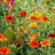 ヒメ日記 2025/05/12 14:21 投稿 みこと 奥様の実話 梅田店