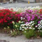 ヒメ日記 2025/05/14 09:01 投稿 みこと 奥様の実話 梅田店