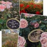 ヒメ日記 2025/05/16 08:50 投稿 みこと 奥様の実話 梅田店