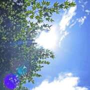 ヒメ日記 2025/05/18 10:06 投稿 みこと 奥様の実話 梅田店