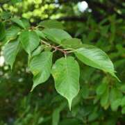 ヒメ日記 2025/05/19 09:19 投稿 みこと 奥様の実話 梅田店