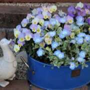 ヒメ日記 2025/05/20 08:55 投稿 みこと 奥様の実話 梅田店