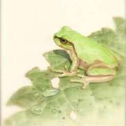 ヒメ日記 2025/05/23 08:59 投稿 みこと 奥様の実話 梅田店