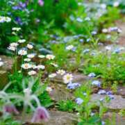 ヒメ日記 2025/05/24 10:07 投稿 みこと 奥様の実話 梅田店