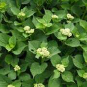 ヒメ日記 2025/05/27 08:56 投稿 みこと 奥様の実話 梅田店