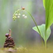 ヒメ日記 2025/05/29 08:55 投稿 みこと 奥様の実話 梅田店