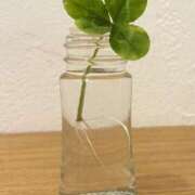 ヒメ日記 2025/06/03 08:50 投稿 みこと 奥様の実話 梅田店