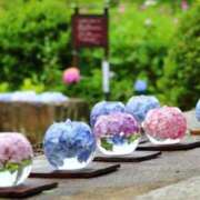 ヒメ日記 2025/06/07 09:50 投稿 みこと 奥様の実話 梅田店