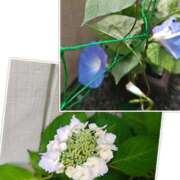 ヒメ日記 2025/06/13 08:56 投稿 みこと 奥様の実話 梅田店