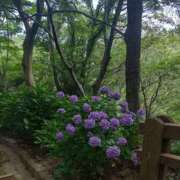 ヒメ日記 2025/06/14 12:59 投稿 みこと 奥様の実話 梅田店