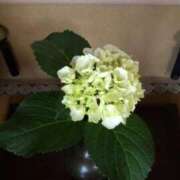 ヒメ日記 2025/06/15 17:42 投稿 みこと 奥様の実話 梅田店