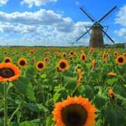 ヒメ日記 2025/06/21 09:08 投稿 みこと 奥様の実話 梅田店