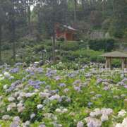 ヒメ日記 2025/06/23 08:54 投稿 みこと 奥様の実話 梅田店