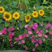 ヒメ日記 2025/06/25 08:59 投稿 みこと 奥様の実話 梅田店