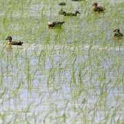 ヒメ日記 2025/06/26 09:11 投稿 みこと 奥様の実話 梅田店