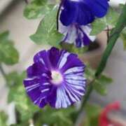 ヒメ日記 2025/06/27 08:51 投稿 みこと 奥様の実話 梅田店