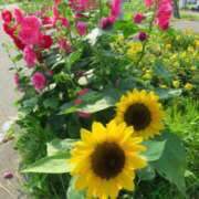 ヒメ日記 2025/07/02 08:44 投稿 みこと 奥様の実話 梅田店