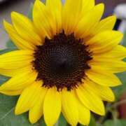 ヒメ日記 2025/07/11 09:03 投稿 みこと 奥様の実話 梅田店