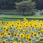 ヒメ日記 2025/07/12 09:10 投稿 みこと 奥様の実話 梅田店