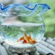 ヒメ日記 2025/07/14 08:58 投稿 みこと 奥様の実話 梅田店