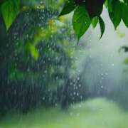 ヒメ日記 2025/07/17 08:58 投稿 みこと 奥様の実話 梅田店