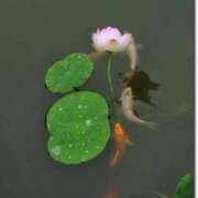 ヒメ日記 2025/07/20 10:04 投稿 みこと 奥様の実話 梅田店