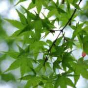 ヒメ日記 2025/07/22 09:05 投稿 みこと 奥様の実話 梅田店