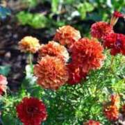 ヒメ日記 2025/07/23 08:57 投稿 みこと 奥様の実話 梅田店