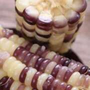 ヒメ日記 2025/07/24 09:09 投稿 みこと 奥様の実話 梅田店