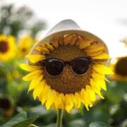 ヒメ日記 2025/07/26 09:01 投稿 みこと 奥様の実話 梅田店