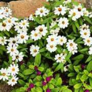 ヒメ日記 2025/07/28 09:49 投稿 みこと 奥様の実話 梅田店