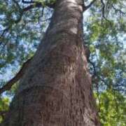 ヒメ日記 2025/07/31 09:59 投稿 みこと 奥様の実話 梅田店