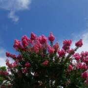 ヒメ日記 2025/08/01 09:04 投稿 みこと 奥様の実話 梅田店