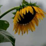 ヒメ日記 2025/08/07 09:02 投稿 みこと 奥様の実話 梅田店