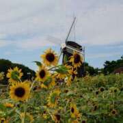 ヒメ日記 2025/08/10 07:43 投稿 みこと 奥様の実話 梅田店