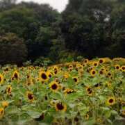 ヒメ日記 2025/08/11 07:49 投稿 みこと 奥様の実話 梅田店