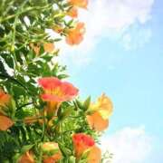 ヒメ日記 2025/08/26 08:59 投稿 みこと 奥様の実話 梅田店